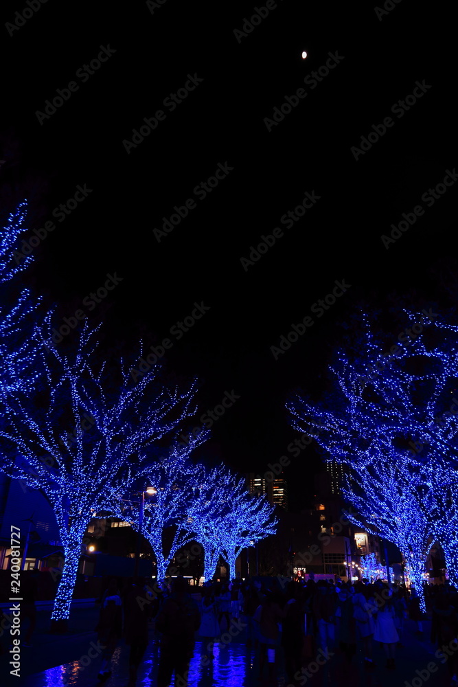半月の夜の青く輝く並木道