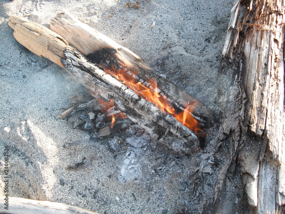 Campfire on a beach on Vancouver Island in Canada on a hiking trip to Cape Scott on the northern tip of the island. The fire was kept burning during the night to scare away the bears and cougars. Campfire on a beach on Vancouver Island in Canada on a hiking trip to Cape Scott on the northern tip of the island. The fire was kept burning during the night to scare away the bears and cougars.