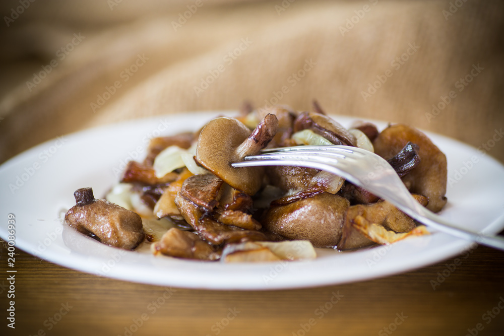 boletus mushrooms fried with onions in a plate boletus mushrooms fried with onions in a plate