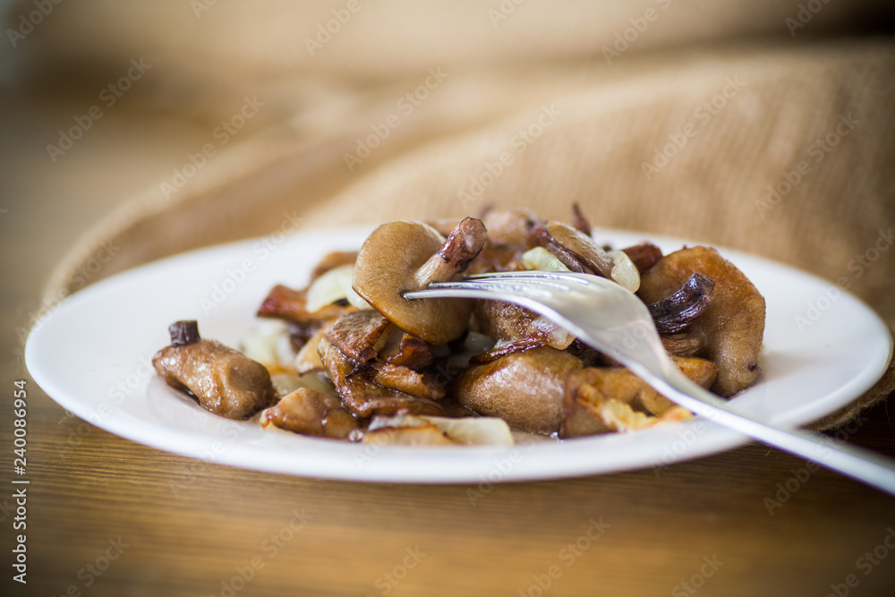 boletus mushrooms fried with onions in a plate boletus mushrooms fried with onions in a plate