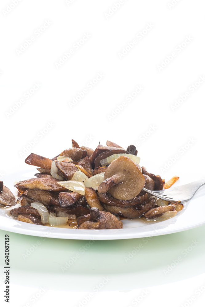 boletus mushrooms fried with onions in a plate boletus mushrooms fried with onions in a plate