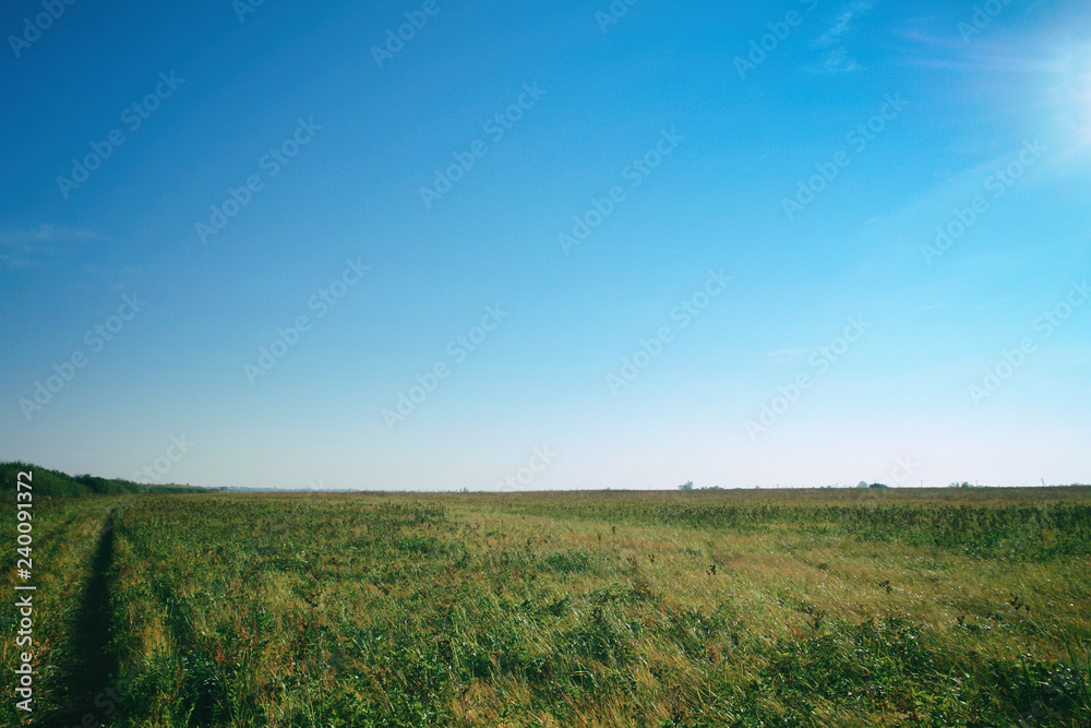 Green field on blue sky background