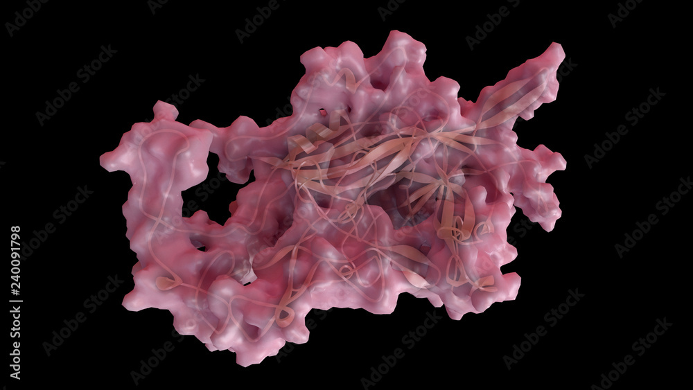 3D CG rendered image of scientifically accurate Feline Panleukopenia