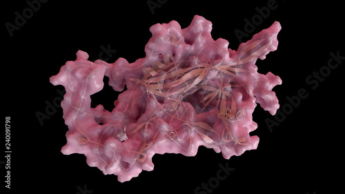 3D CG rendered image of scientifically accurate Feline Panleukopenia Virus (cat distemper virus) Capsid Structure based on PDB : 1FPV (capsomere)
