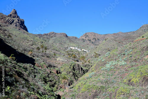 La Gomera: hinking from Alajeró to Imada, througth the Canyopn de Guarimiar and up to the Cabezo de las Vetilas photo