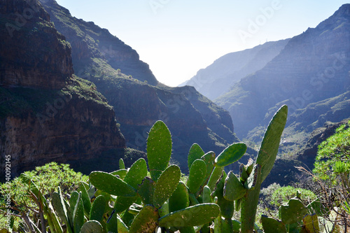 La Gomera: hinking from Alajeró to Imada, througth the Canyopn de Guarimiar and up to the Cabezo de las Vetilas photo