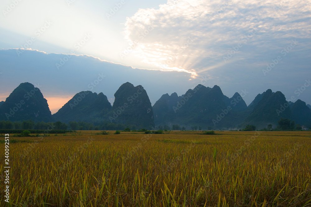 Green and yellow rice fields and karst under sunset , near Ban Gioc, Cao Bang province, Vietnam