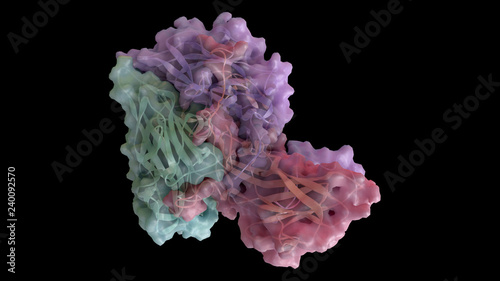 3D CG rendered image of scientifically accurate Human Rhino Virus (common cold virus) Capsid Structure based on PDB : 4RHV (capsomere)