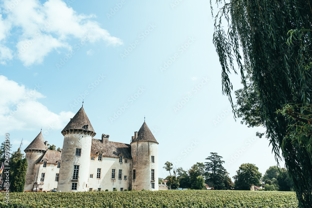 Chateau de Savigny les Beaune, Bourgogne, France