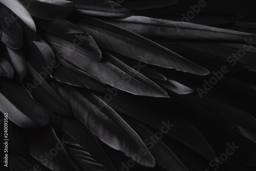 Black wing feathers detail, abstract dark background © Alena Gerasimova