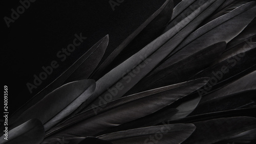 Black wing feathers detail, abstract dark background  photo