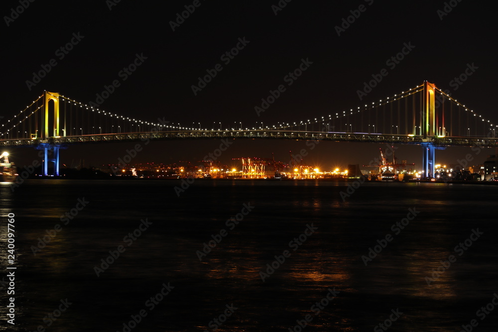 Obraz premium 東京湾の夜景