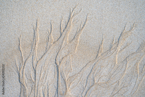 Natural texture design left by the tide on the beach