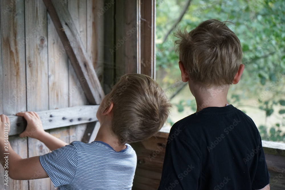 2 brothers, boys playing in tree house 2 brothers, boys playing in tree house