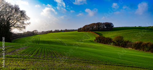 The beautiful landscape of Combe Valley  near Bexhill  In East Sussex  England