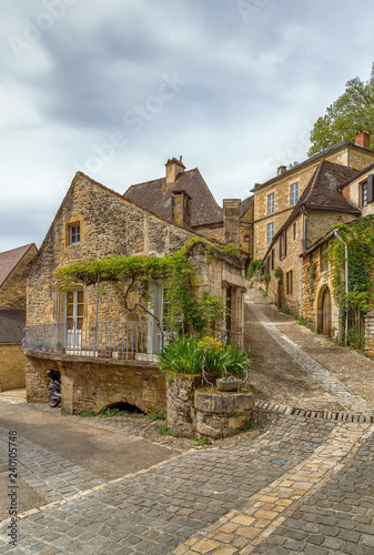 Street in Beynac-et-Cazenac, France
