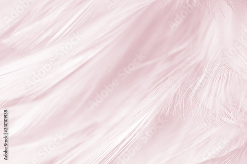 pink color trends feather texture background with orange light