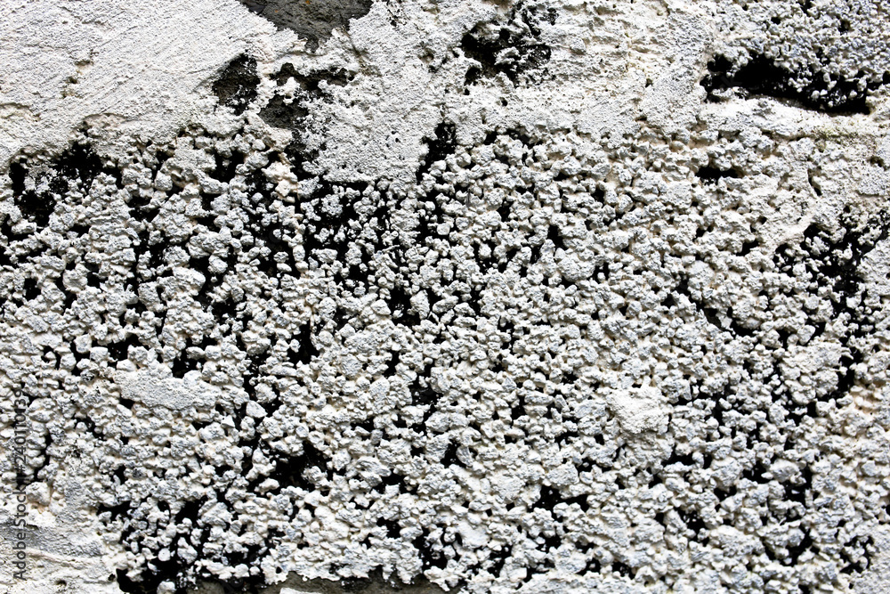 rough texture of a old gray wall. rough texture of a old gray wall.