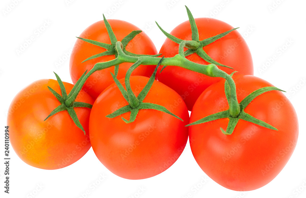 Tomato. Tomato branch. Tomatoes isolated on white. With clipping path