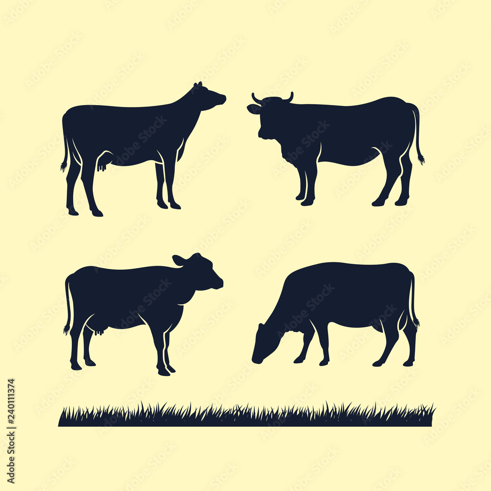 cow silhouette vector icon. black angus vector illustration