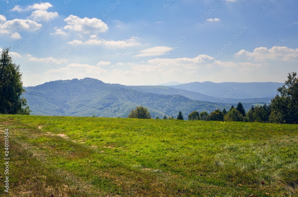 Beautiful mountain landscape. Glade in the mountains in a summer scenery.