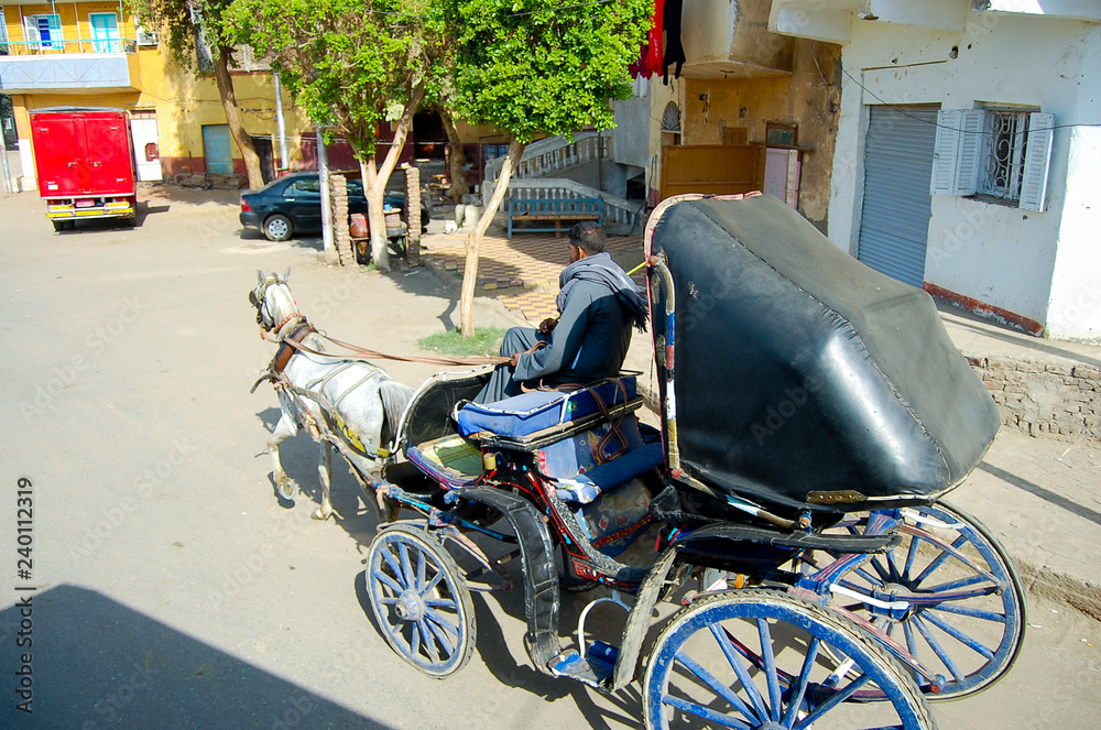 Horse Carriage - Edfu - Egypt