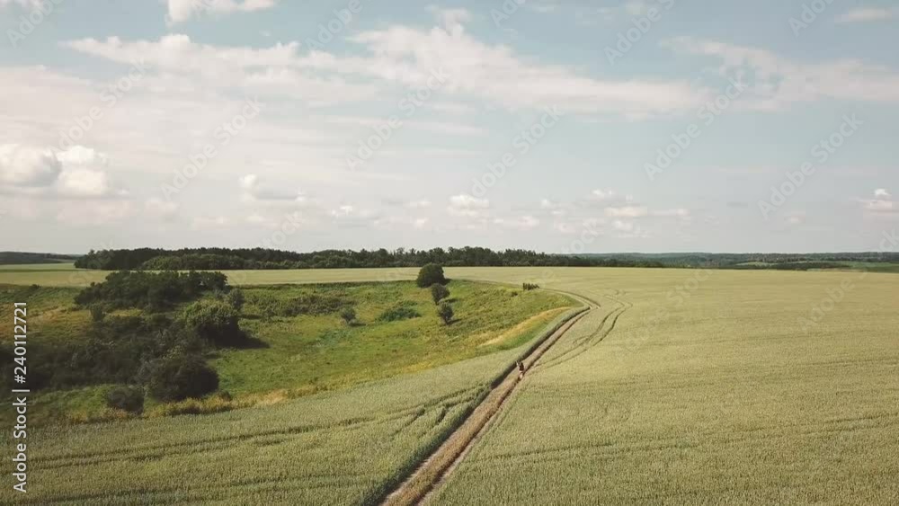 a young hapy woman runs across the field with her dog at noon, top view.Aerial view of field. a young hapy woman runs across the field with her dog at noon, top view.Aerial view of field.
