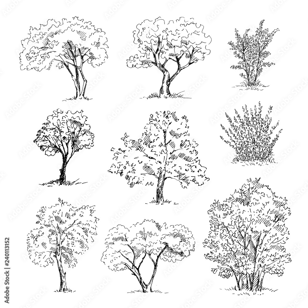 Naklejka premium Zestaw szkiców ręcznie rysowane drzewa. Ilustracji wektorowych.
