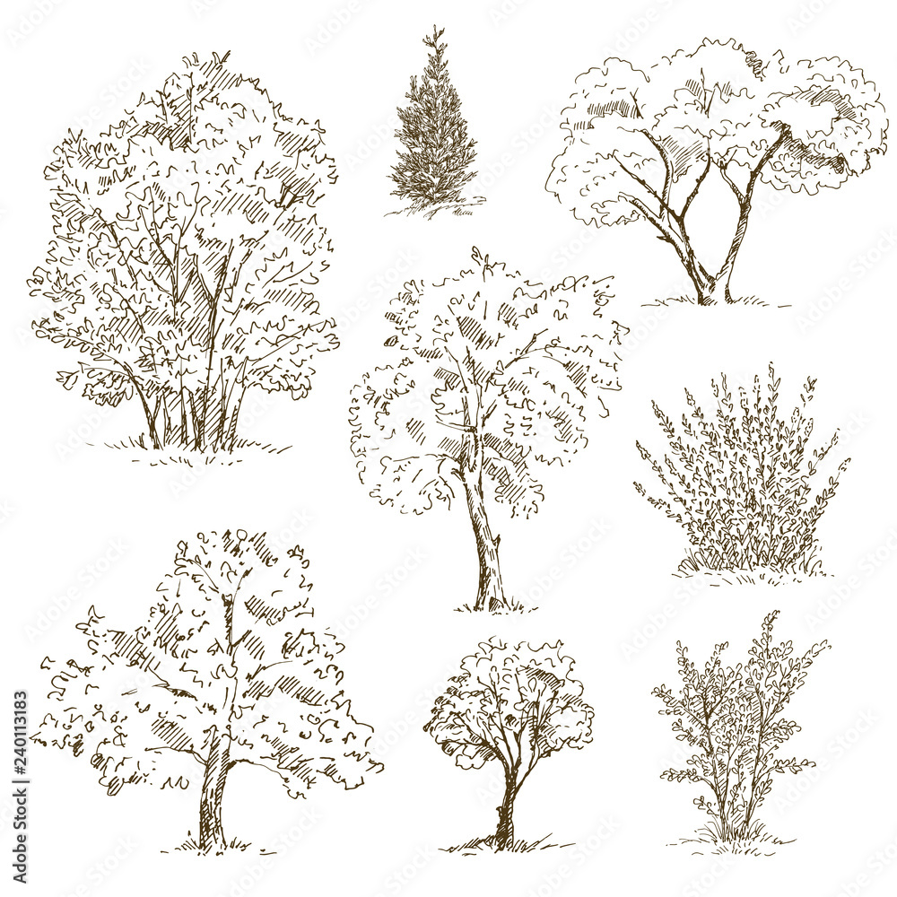 Hand drawn tree sketches set. Vector illustration.