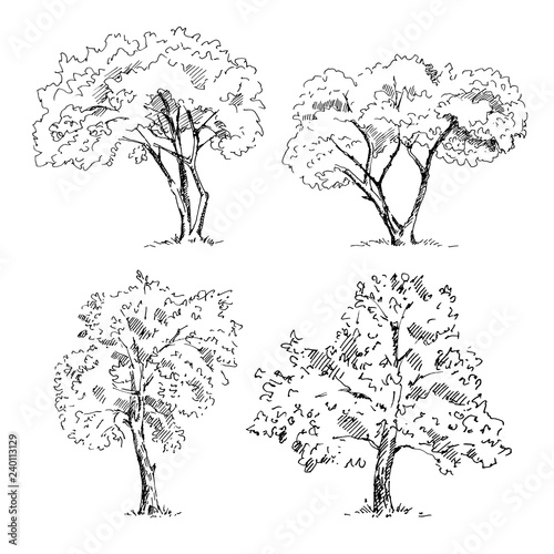 Hand drawn tree sketches set. Vector illustration.