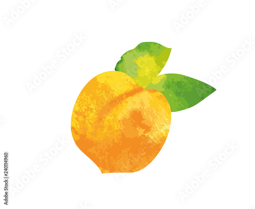 Watercolor fruit with leaf. Vector colorful sweet fruits. 