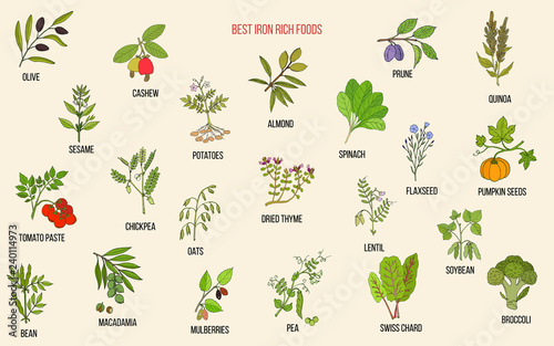 Best iron rich foods