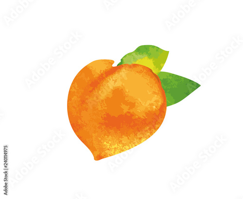 Watercolor fruit with leaf. Vector colorful sweet fruits. 