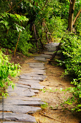 Stone walk in the tropical forest.