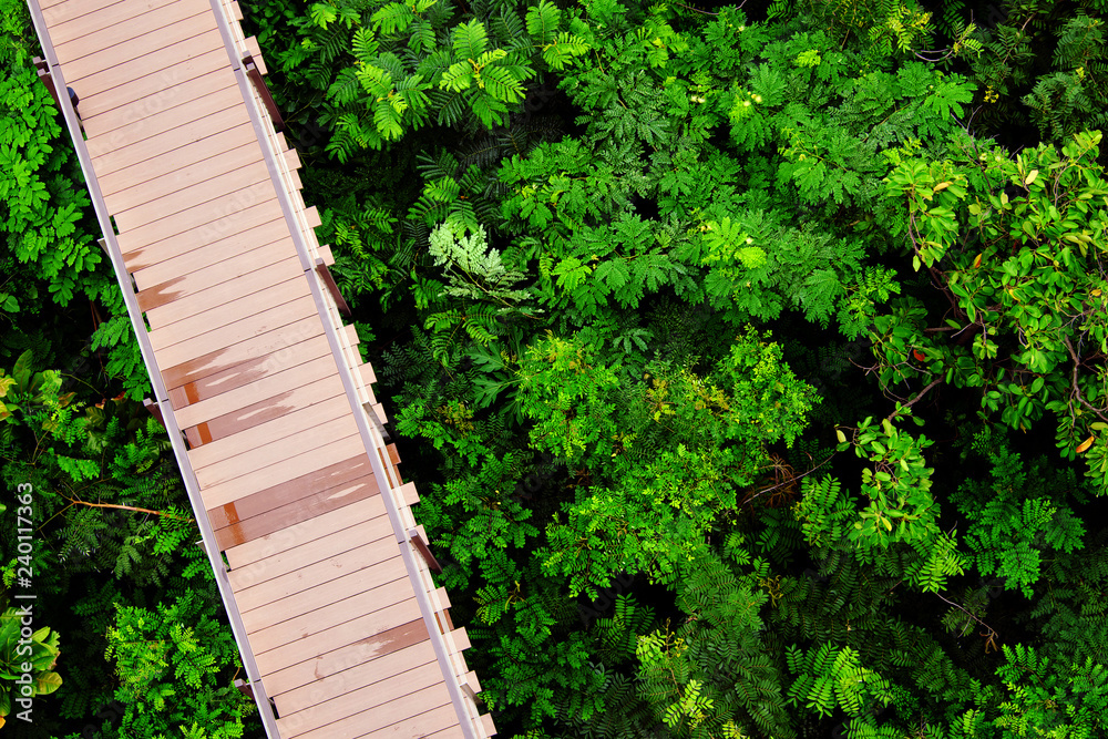 Walking paths in the wild in the tropics. Walking paths in the wild in the tropics.