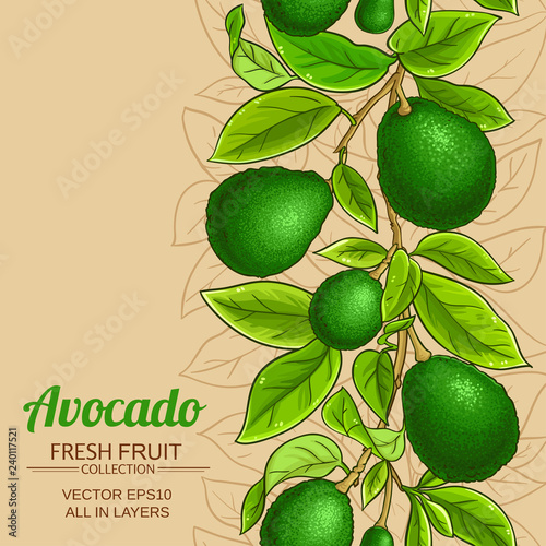 avocado vector pattern