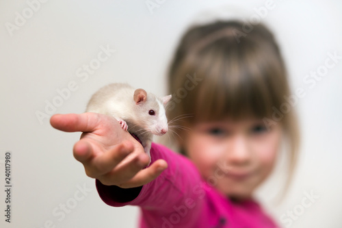 Photography Portrait of happy smiling cute child girl with white pet mouse hamster on light copy space background