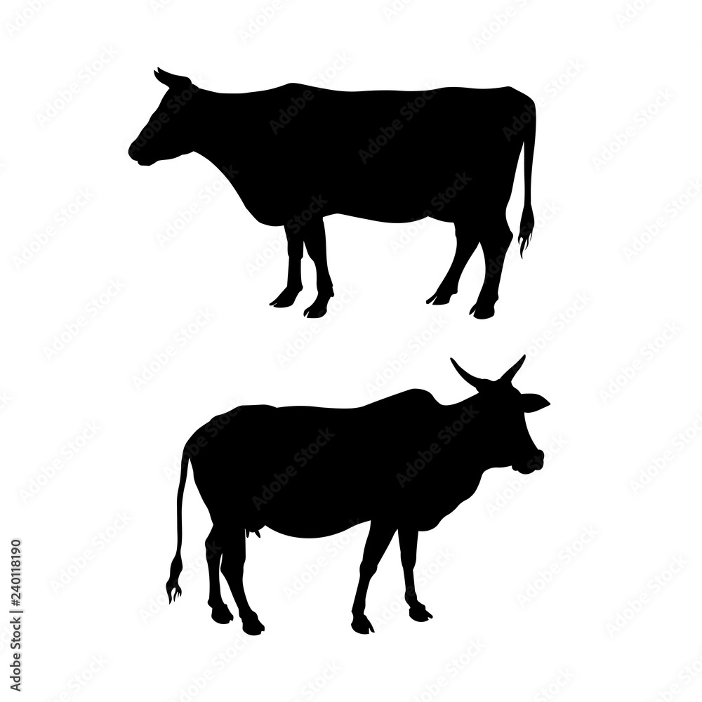 Silhouettes of a standing cow Silhouettes of a standing cow