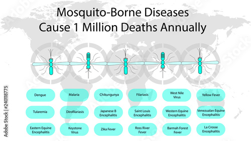 mosquitoes borne diseases