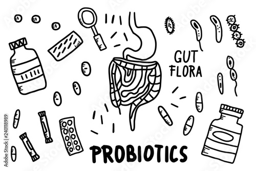 Probiotic vector concept illustration. Gut flora.