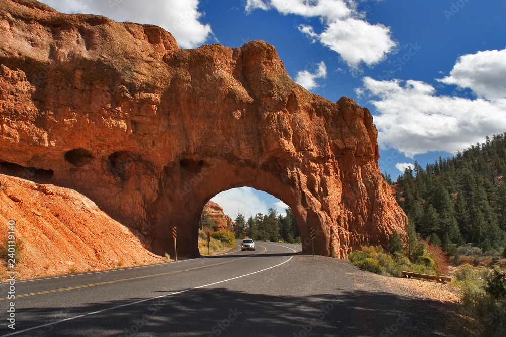 In the Red canyon midday