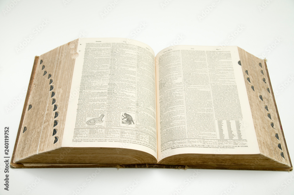 Obraz premium Webster's New International Dictionary