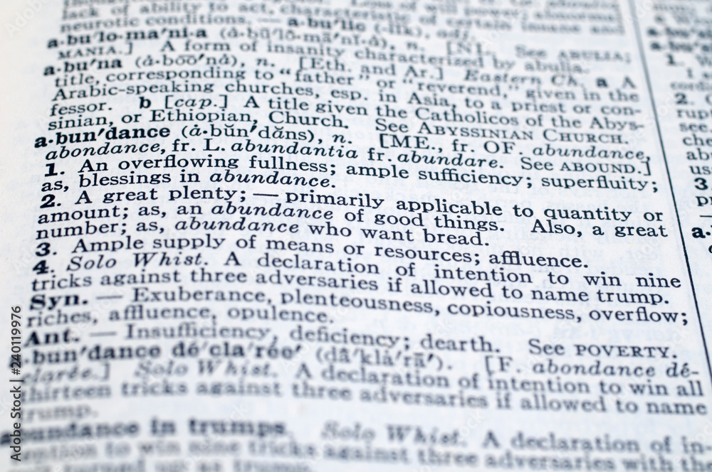 Webster's New International Dictionary Webster's New International Dictionary