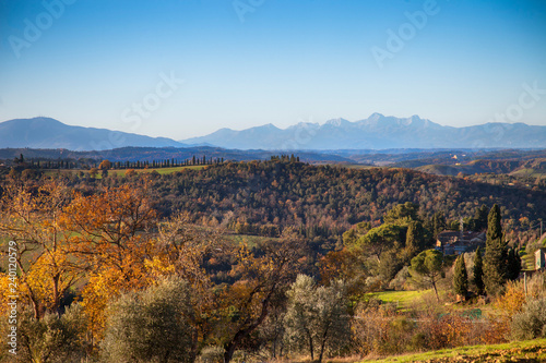 Toscana  campagna e Alpi Apuane sullo sfondo.