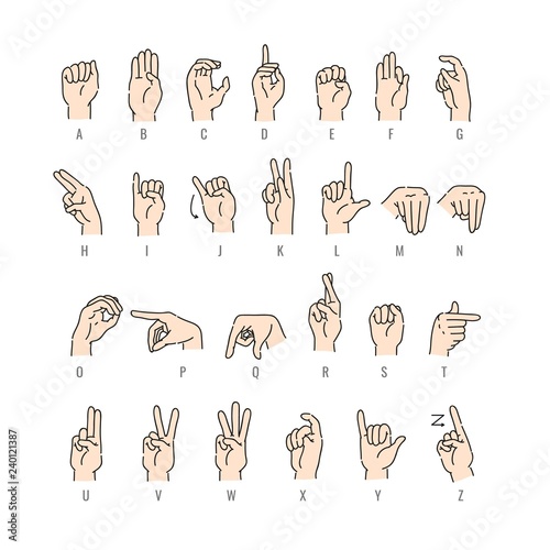 Vector deaf-mute alphabet with hand gestures set. Hand drawn mute language, communication for disabled people. Finger, palm and fist signs collection. Isolated illustration