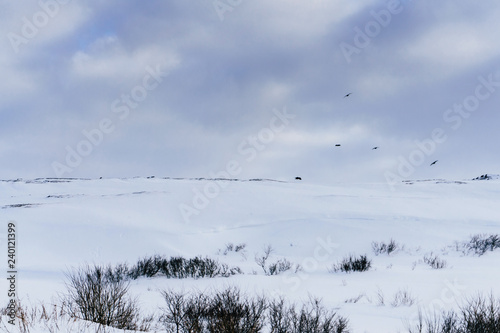 garbage thrown into the snow along the snowy road north