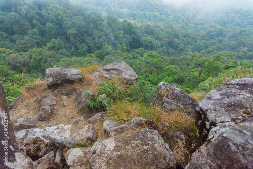 high cliff rock with heavy fog  cloud and mist in mon jong doi at Chaing mai  Thailand