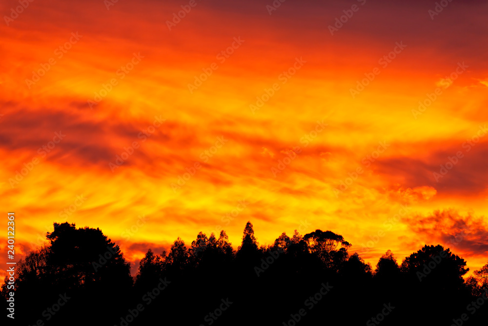 The sky are dyed red in a sunset. The sky are dyed red in a sunset.