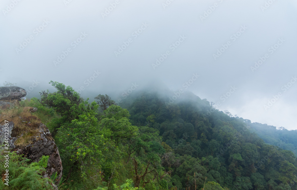 Fototapeta premium high cliff rock with heavy fog, cloud and mist in mon jong doi at Chaing mai, Thailand