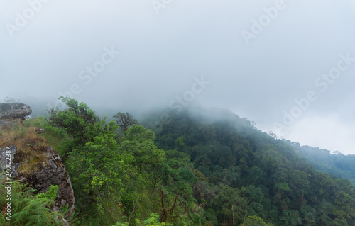 high cliff rock with heavy fog, cloud and mist in mon jong doi at Chaing mai, Thailand